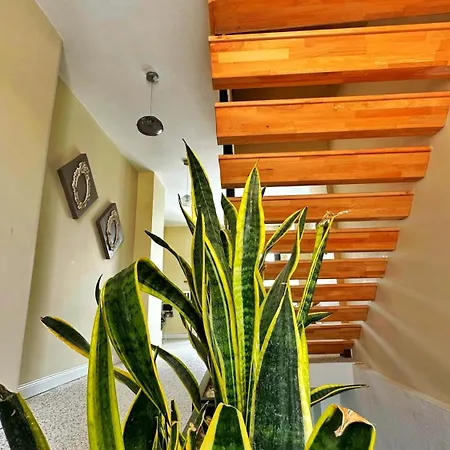 Hotell Sulty's Koeyici