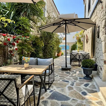 Sulty's Koeyici * ألاتشاتي